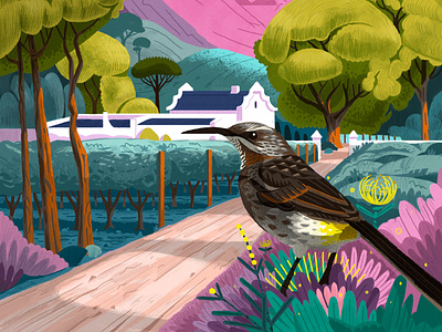 Glug 2d bird digital editorial folioart gerhard van wyk illustration landscape magazine cover nature spring texture wildlife wine