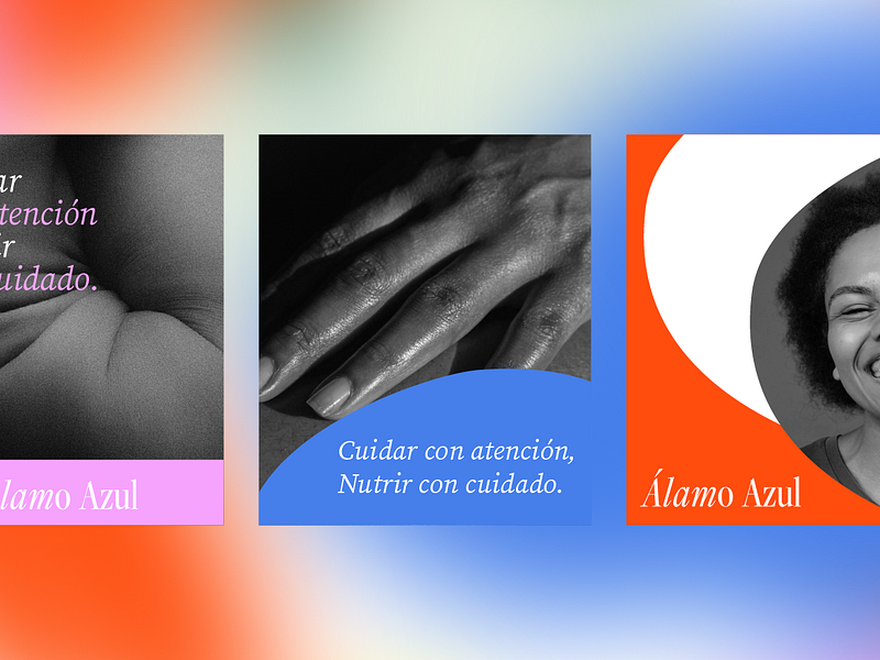 Álamo Azul - Social Media branding design graphic design illustration logo social media typography vector
