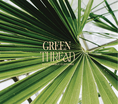 Green Thread - Logo Design branding graphic design logo