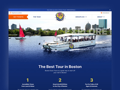 Iconic Tour Company UI/UX Visual Design blue conversion design ui ux design website
