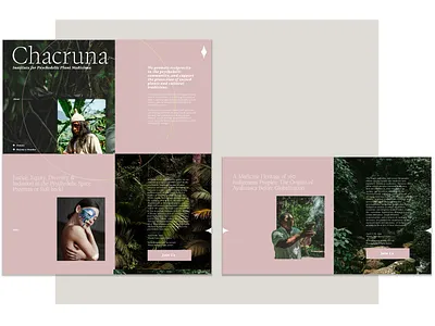 Chacruna Institute Mock Redesign branding graphic design ui ux web design