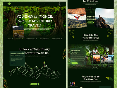 Tourism and Adventure Website Design custom design figma responsive design travel adventure ui uiux design website design