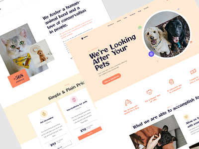 Animo Pets Website animal animals cat dog marketing pet pet website uiux web design website