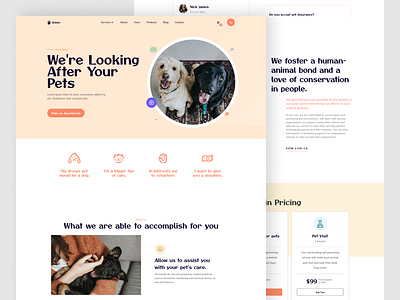 Animo Pets Website animals care cat landing page medical pets website ui uiux web design website