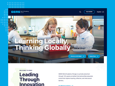 Distinct Global Education UI/UX Visual Design blue branding design ui visual design website