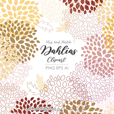 Dahlias Clipart cahlia elegant festival firework flowers spring wedding