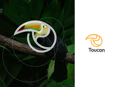 Toucan Logo Line branding design graphic design icon illustration logo logo design logotype ui vector