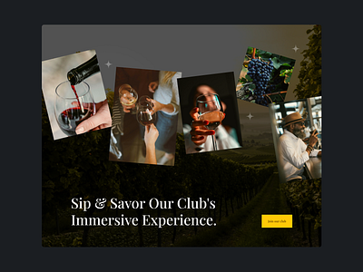 Wine Club Website branding ui website