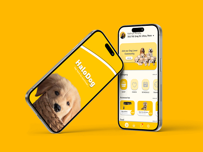 HaloDog - Dog Lovers App application branding dog lover figma graphic design illustration mobile uidesigner uiux vector web design yellow