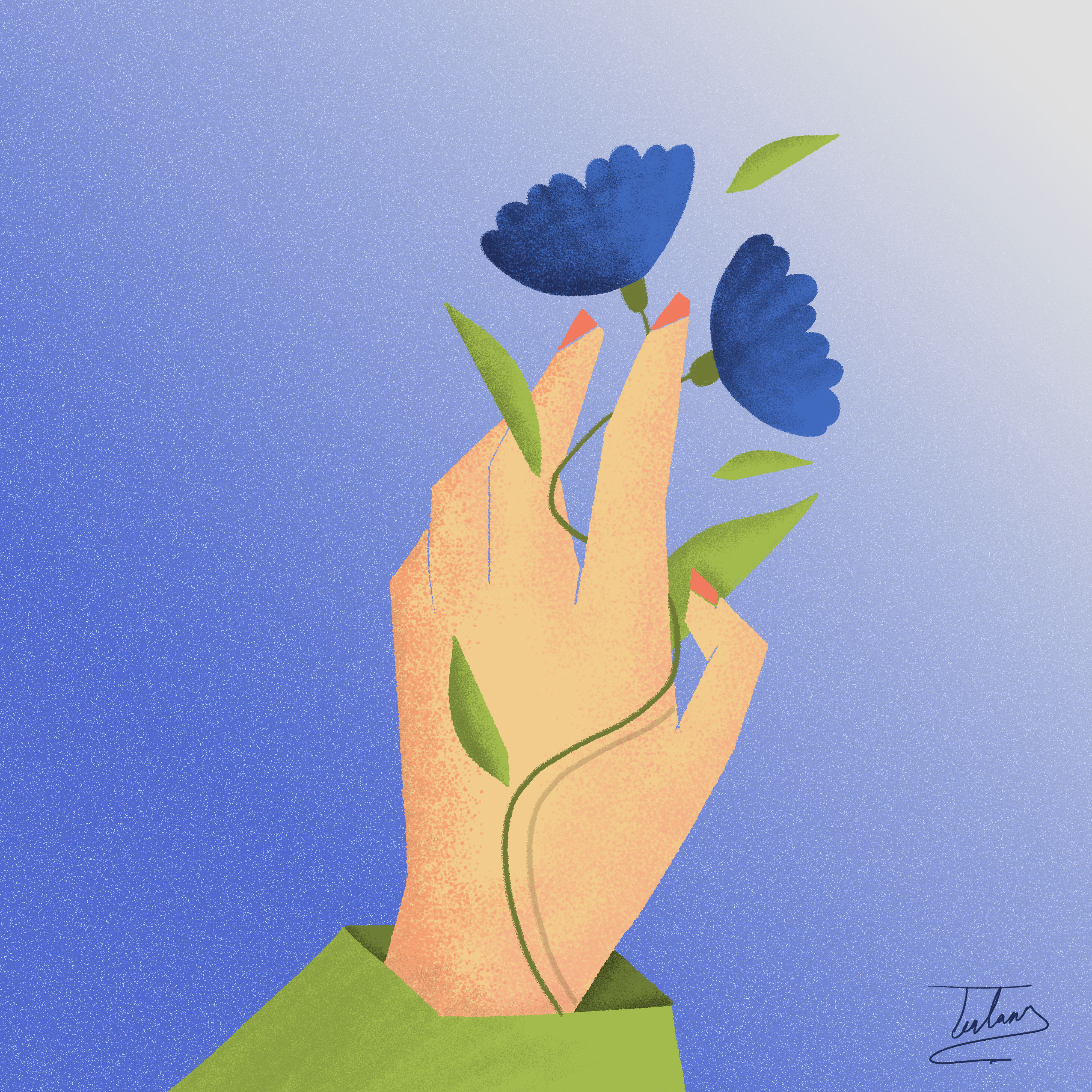 Flower with hand 2d animation 2danimation @animation abobephotoshope adobeillustration animated gif animation art beauty blue design flower hand illustration motion