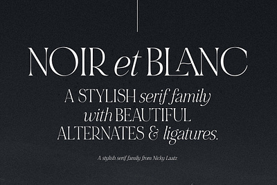 NOIR et BLANC Stylish Serif all caps bold classic duo elegant fashion fashionable fine font duo italic posh quiet refined serif serious style ui