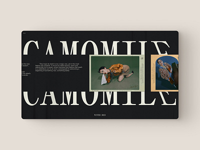 CAMOMILE WEBSITE | concept design graphic design landing texture typography ui web webdesign website