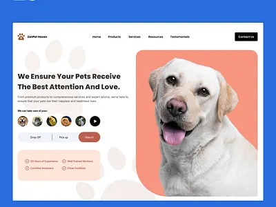ZenPet Haven animals bird care cat design dog figma fur babies fur parent graphic design paw pet rabbit ui ui design ux ux design webdesigner website wellness
