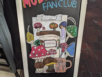 Mushroom Fan Club