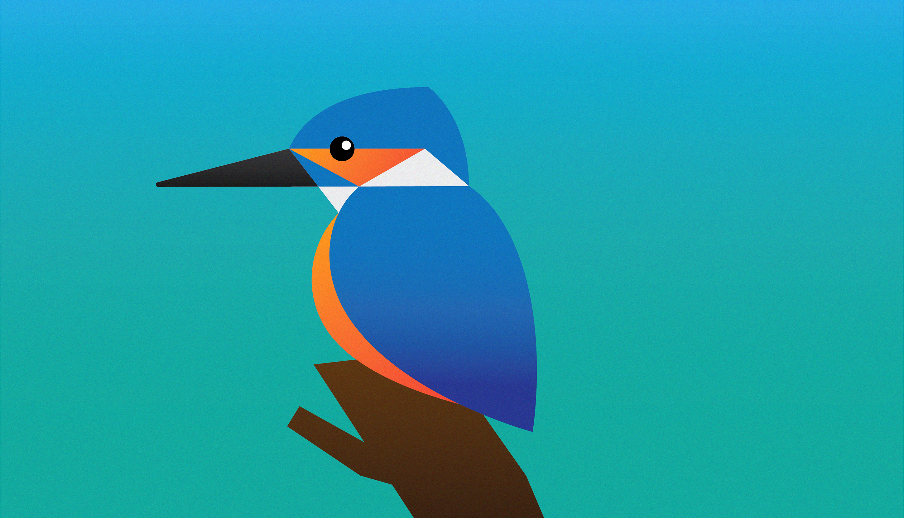 Minimalist Birds adobe illustrator bird branch design geometry graphic design illustration kingfisher minimalisme texture tucan vector