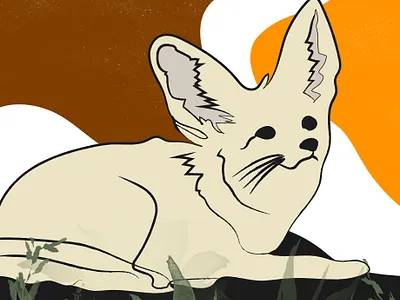 Drawing - Fennec fox animal animals art arts colorful design drawing fennec fox fox getillustrations illustration illustrator minimal nature vector wild