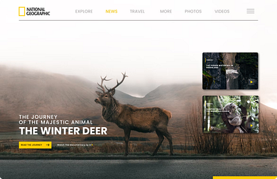 Simple Nat Geo Landing Page UI ui