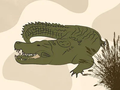 Drawing - Crocodile animal animals art arts colorful crocodile design drawing getillustrations illustration illustrator minimal nature vector wild