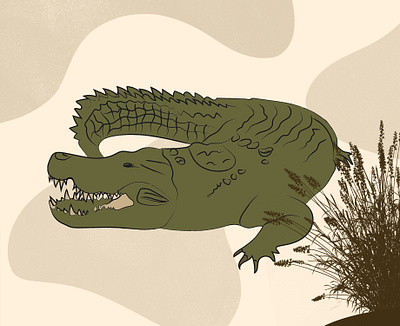 Drawing - Crocodile animal animals art arts colorful crocodile design drawing getillustrations illustration illustrator minimal nature vector wild