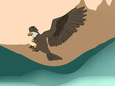 Drawing - Eagle animal animals art arts bird colorfu design drawing eagle feather getillustrations illustration illustrator minimal nature vector wild wings