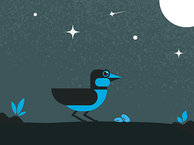Blue Jay app art background bird blue bird blue jay branding canva design graphic design illustration indie logo minimal ui vector