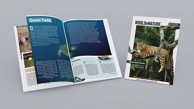 World & Nature Magazine Project design indesign magazine nature