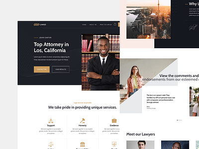 Lawsd Lawyer Website advocacia attorney profiles law law firm lawyer lawyer website legal uiux web design website