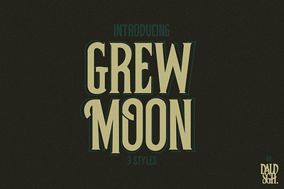 Grewmoon Fonts book branding poster design typography design typography logo typography poster