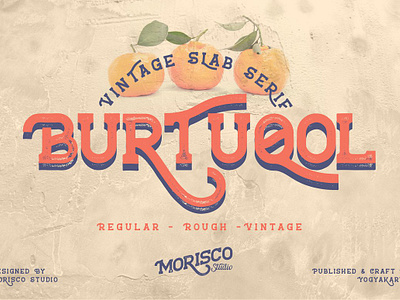 Burtuqol - Vintage Slab Serif clean display modern retro rough rustic slab stylistic vintage