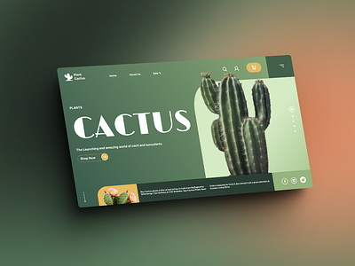 CACTUS WEB SLIDE uiux webpage webslide