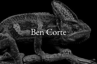 Ben Corte- UI/Brand Identity animation branding graphic design logo motion graphics ui