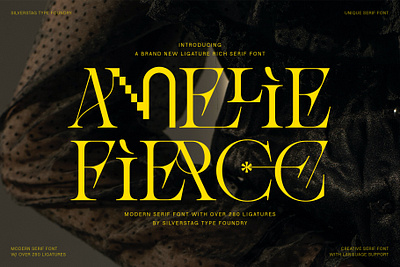Amelie Fierce - Display Serif Font packaging