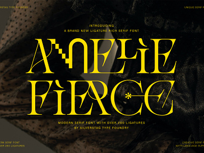 Amelie Fierce - Display Serif Font packaging