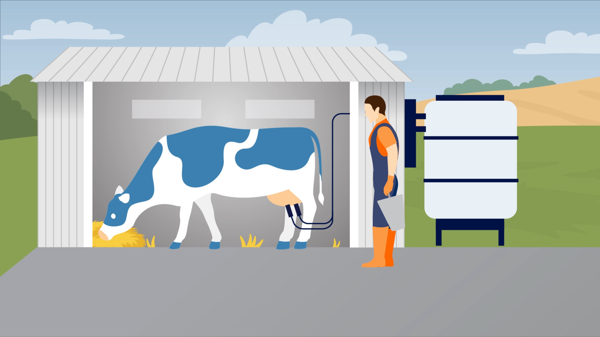 Cow farm Animation | Explainer Video by MotionWizz Studios 2d animation adobe illustrator advertisement after effects animated video animated video ad animation design illustration