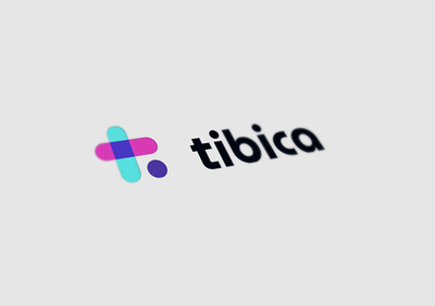 tibica branding graphic design logo ui
