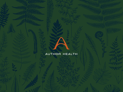 Author Health: Logo brand desgn brand identity branding branding studio graphic design identity logo