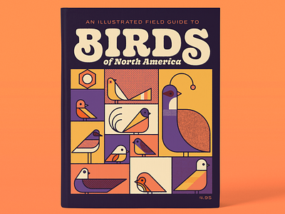An Illustrated Field Guide to Birds of North America birds book cover illustration