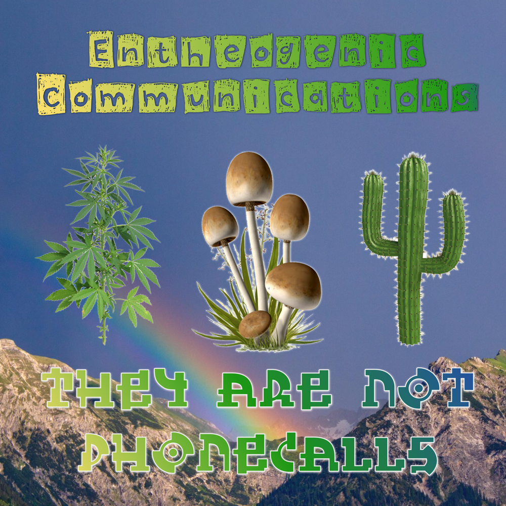 Entheogenic Nights