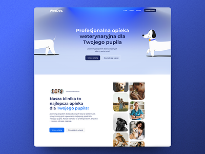 WetDoc. - Webflow website dev dog freelance home homepage nomma petdoctor productdesign ui ux webdesigner webflow website