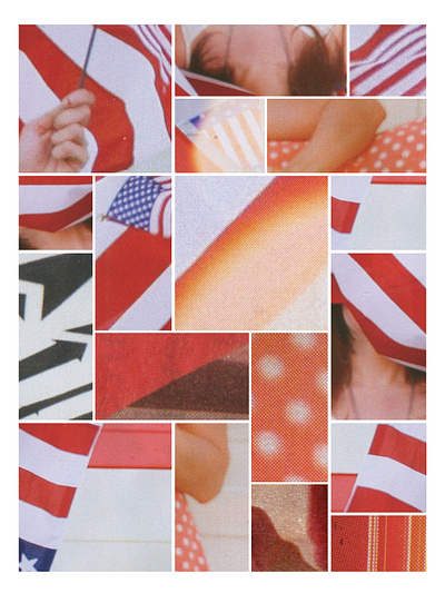 Flag Perspectives america art design flag grid