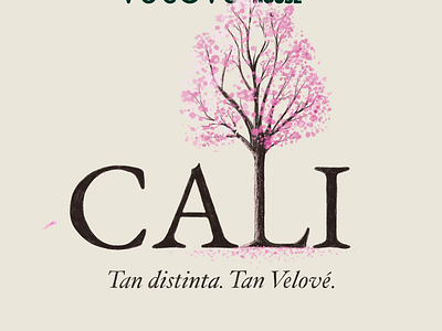 We love our city animation branding cali colombia type