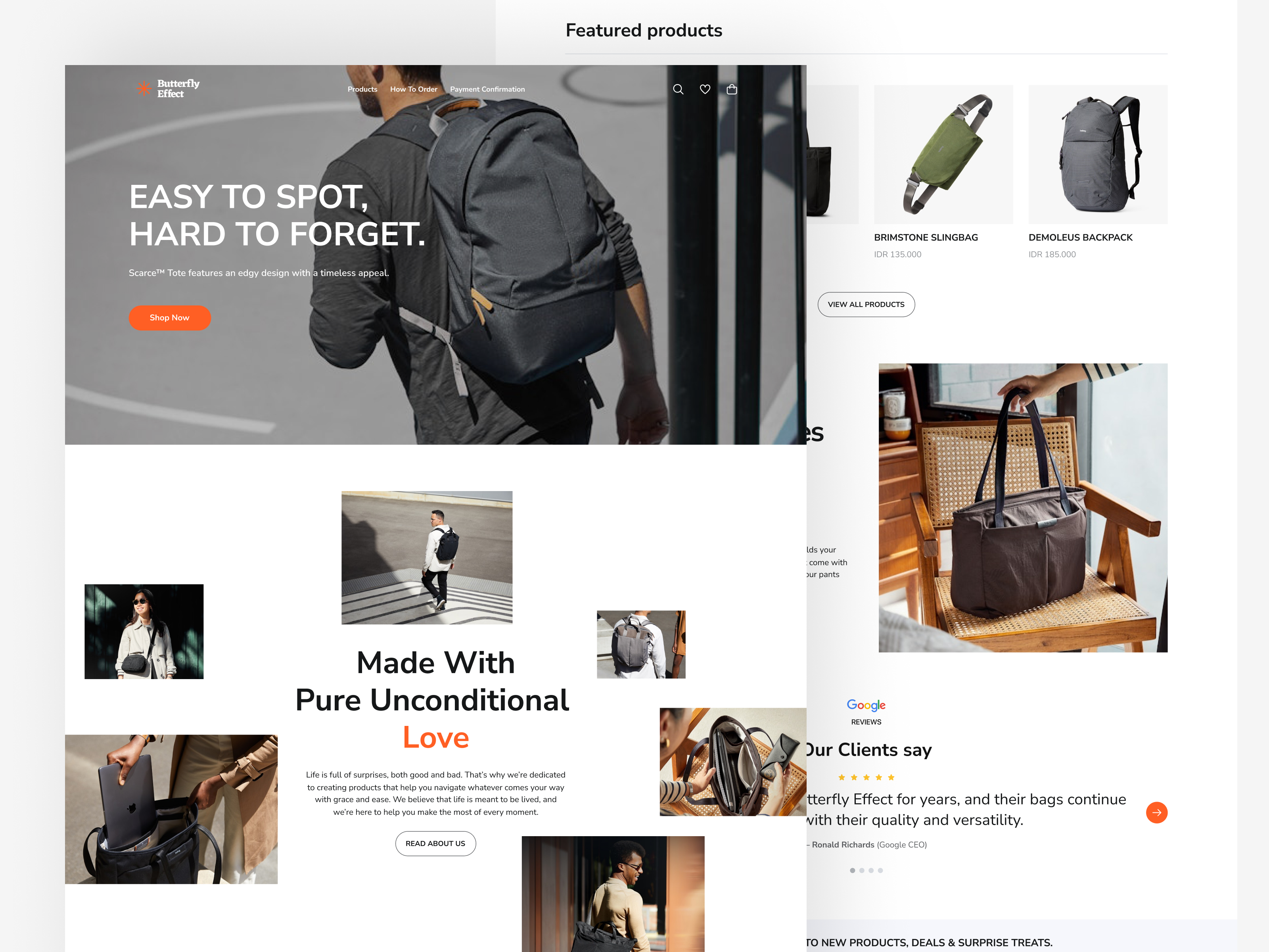 Example of Landing Page Design