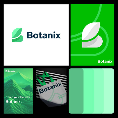 Logo And Branding botanic branding design graphic design green grow letter b logo logo design minimalist modern natural vector visual identity