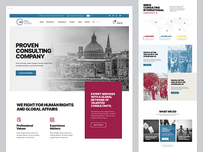 Binda Consulting Int. - Visual Identity & Website consultancy consultingservices creative ecommerce ecommerce website innovative design landing page online shop online store political website product design typography ui ui design uiux design ux ux design visual identity web design website