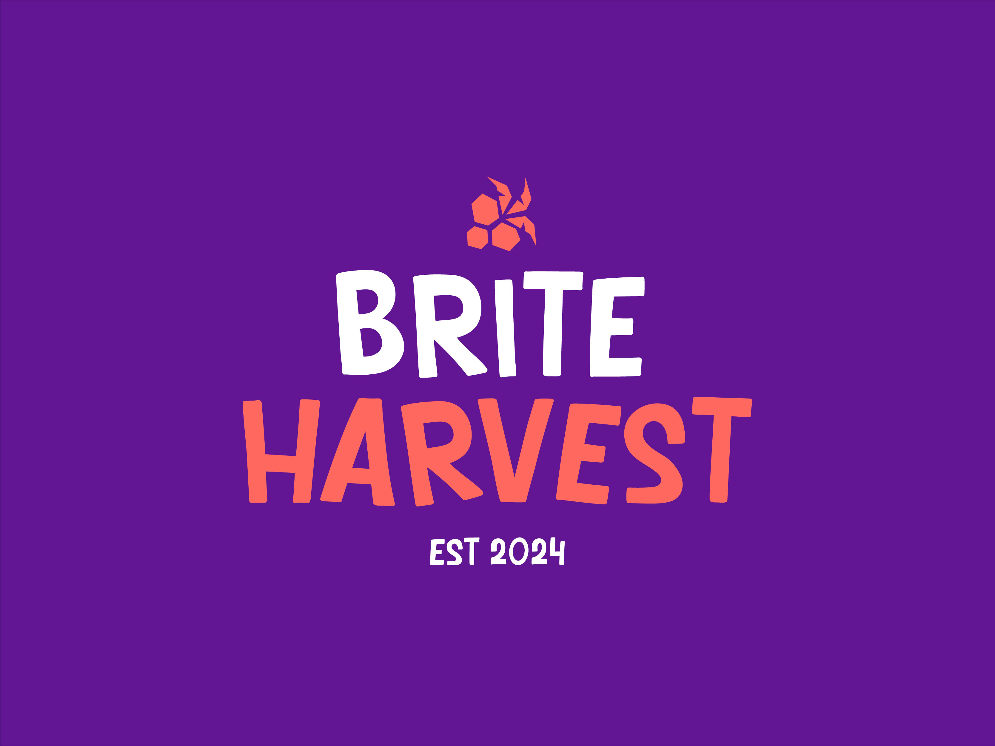 Logo design for brite harvest branding colorfull logo fruit logo fun logo grape logo harvest logo kids logo lettermark logo mark plant logo wordmark