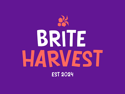 Logo design for brite harvest branding colorfull logo fruit logo fun logo grape logo harvest logo kids logo lettermark logo mark plant logo wordmark