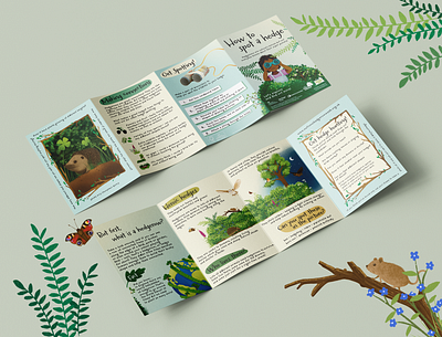 National Hedgerow Week 2024 - Pamphlet & Poster design animals childrens illustration drawing educational flyer graphic design illustration nature procreate