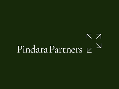 Logo Animation for Pindara 2d alexgoo animated logo branding logo animation logotype