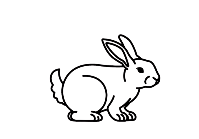 Hopping Rabbit Animation animation bunny cartoon character design game graphic design hopping illustration mascot motion graphics pet rabbit walking cycle walking sequence