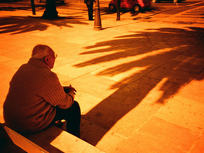 The elderly man who loved trees photograph